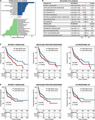 Characterization of Molecular Subtypes in Head and Neck Squamous Cell Carcinoma With Distinct Prognosis and Treatment Responsiveness